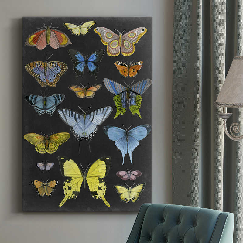 «Butterfly Taxonomie I», impression sur toile tendue, H 18 po x l 12 po x P 1 po