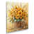 Wrapped Canvas n'est pas disponible