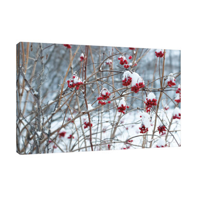 Sue Schlabach " Berries In Winter " by Sue Schlabach