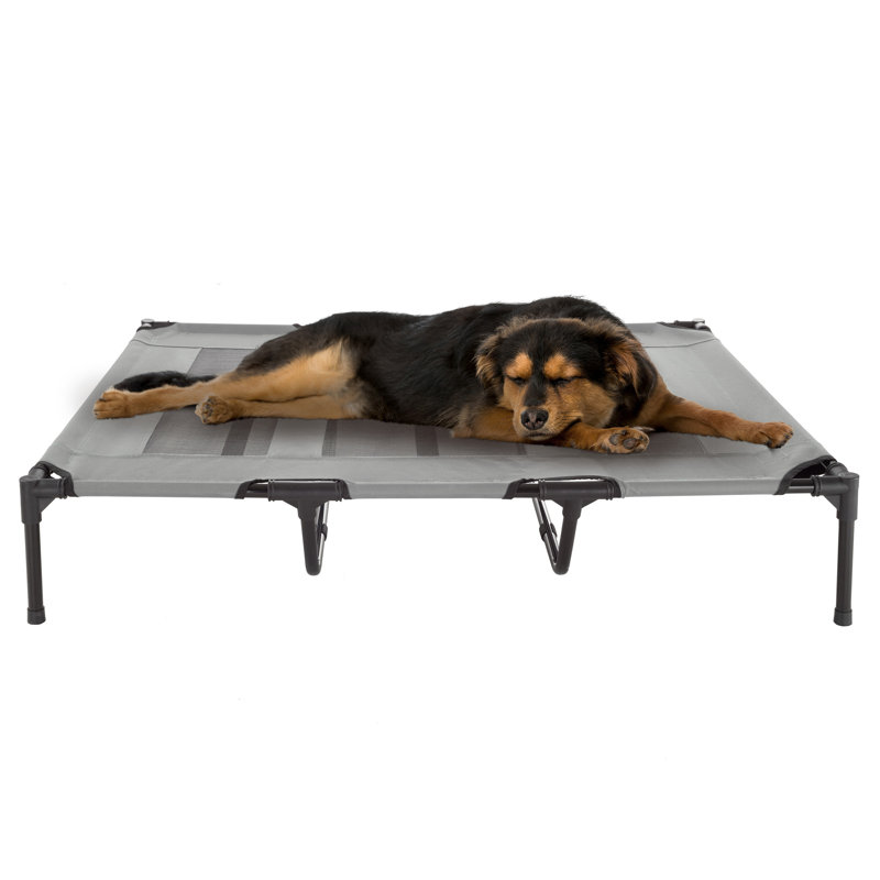 Lit pour chien surélevé portable avec caisse de transport PETMAker, Gris, Très grand (l 48 po x P 36 po x H 9 po)