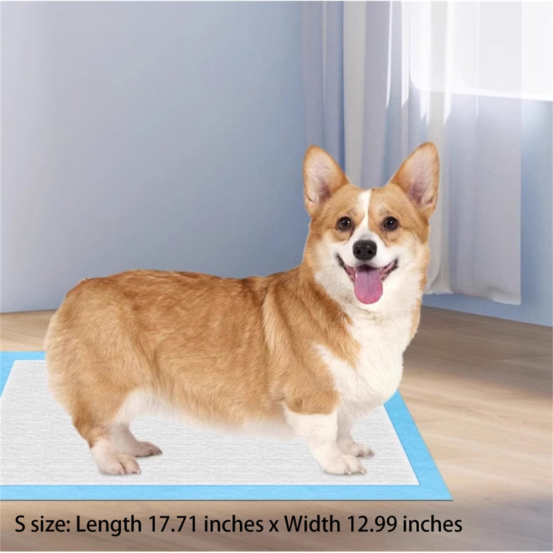 Tapis pour chien (ensemble de 100)