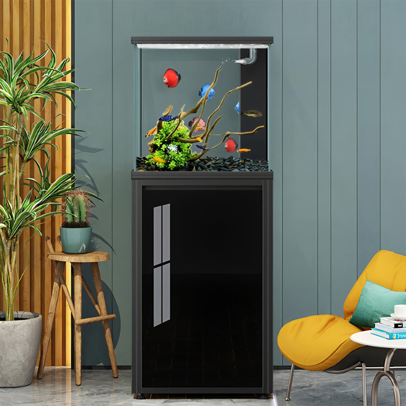 Aquarium noir à filtration sur fond noir ultra-transparent