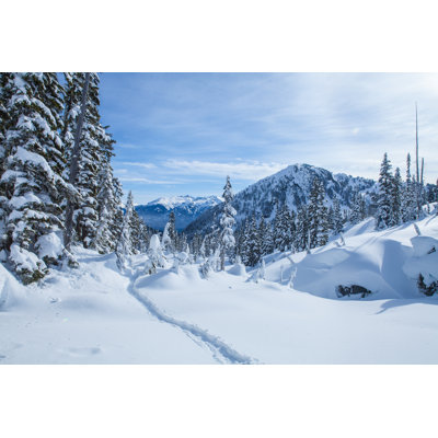 " The Winter Trail " by Wesleychandler