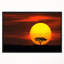 «Lonely Tree with Birds at Sunset», art graphique-1707019777-1715396098