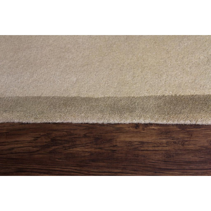 Colburn Wool Oriental Indoor Rug, Rectangle 2' x 3'