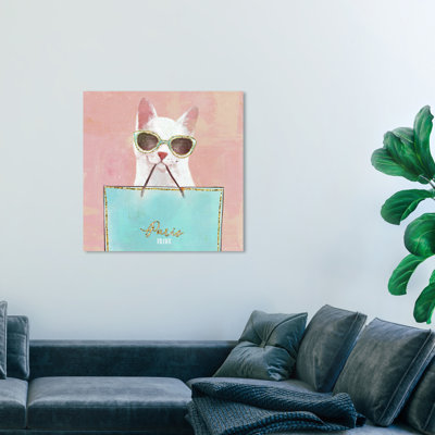 " Fashion And Glam Shopping Cat Accessories "