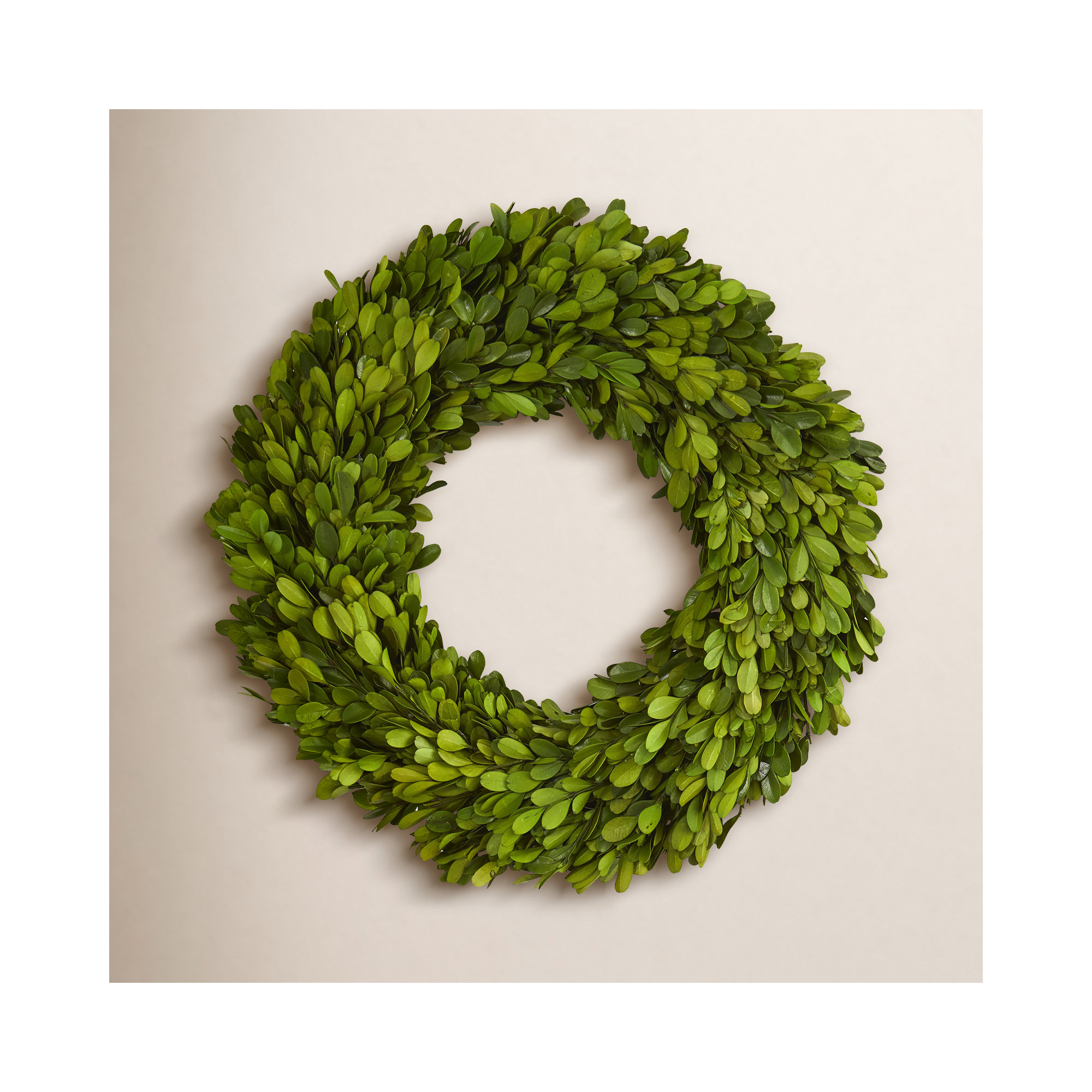 Easter Preserved Boxwood Real Greenery Wreath, 14in.