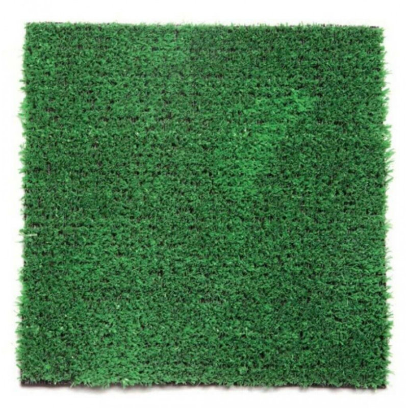 Dakota Fields Outdoor Artificial Grass Turf Rug / Roll