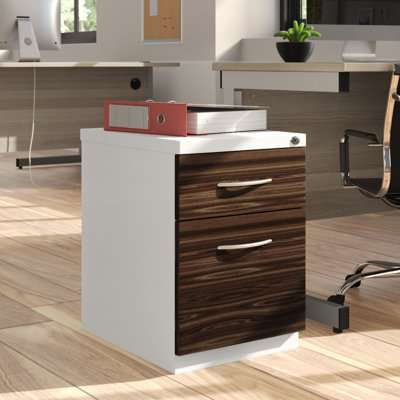 Zepeda Deep Pedestal 2-Drawer Vertical Filing Cabinet by Inbox Zero