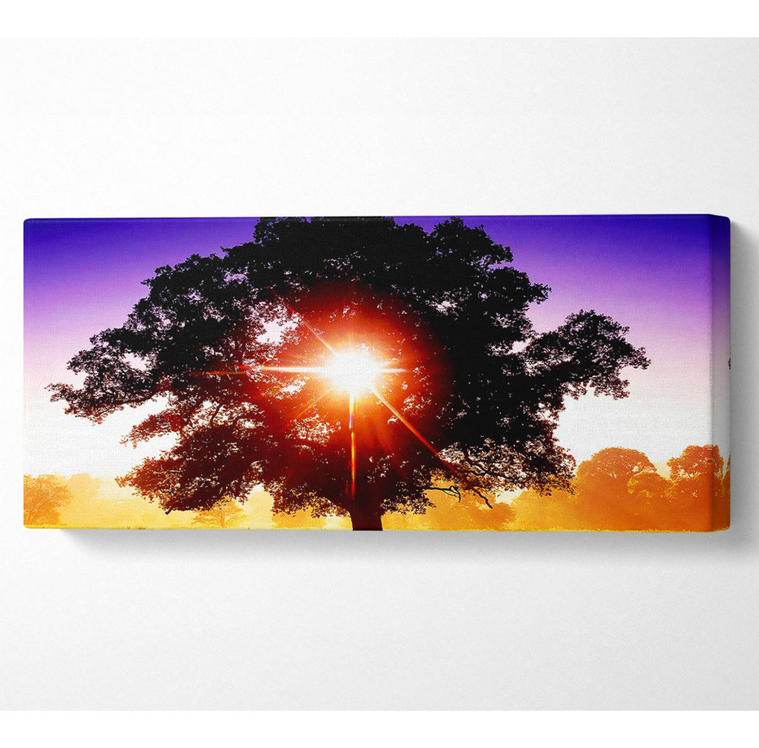 Die Sonne bricht durch den Baum - Panorama-Kunstdrucke auf Leinwand mit Wrapped Canvas