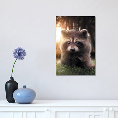 Raccoon Butterfly by Zenja Gammer - Print on Canvas