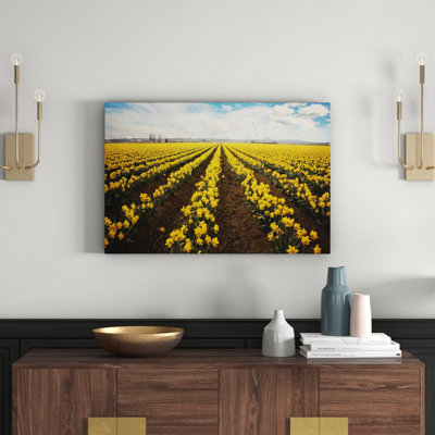Sylvia Cook - Wrapped Canvas Painting