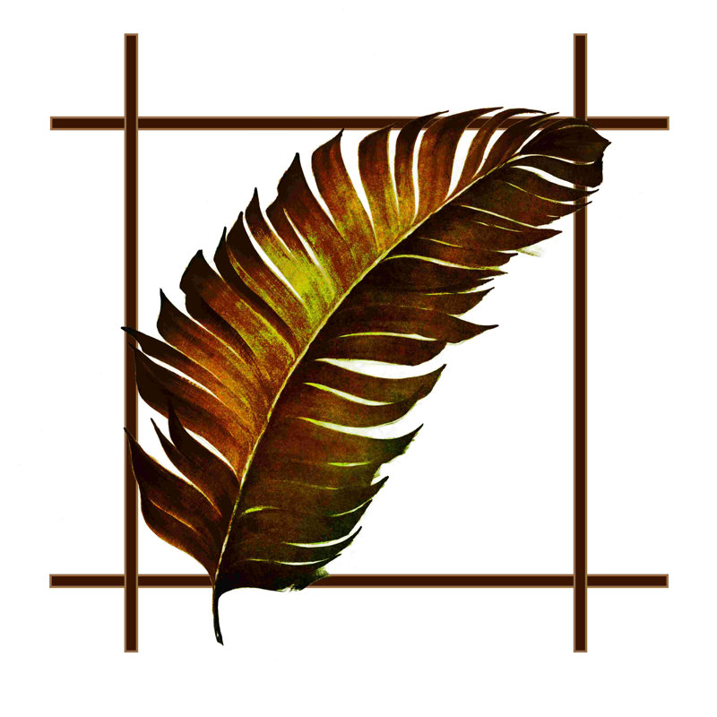 Feuille, fond, impression sur toile tendue, H 12 po x l 12 po