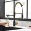 Robinet de cuisine Purifier-117581112