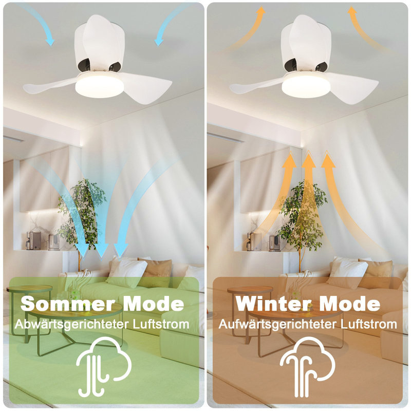 Ceiling Fan with LED Lights