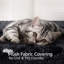 Arbre à chat 33 "-1840905616