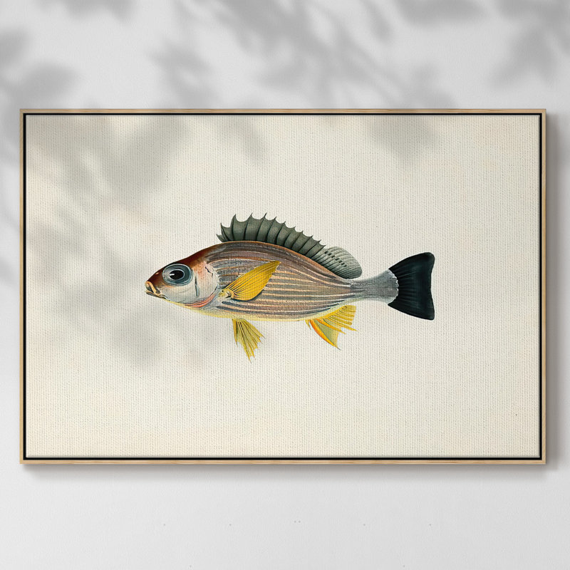 " Tropical Fish Collection III ", 27" H x 41" W x 2" D, Natural Wood Framed