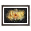 Yellow Rose - Framed Print-56842359-56842362