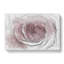 Pretty in Pink Rose Flower in Abstract - Wrapped Canvas Drawing - Wrapped Canvas-55338266