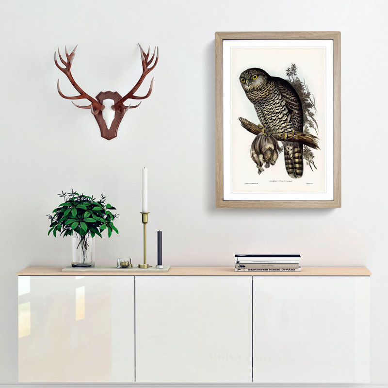 Powerful Owl by Elizabeth Gould - Picture Frame Painting Print, Oak Framed, 48cm H x 36cm W x 2cm D