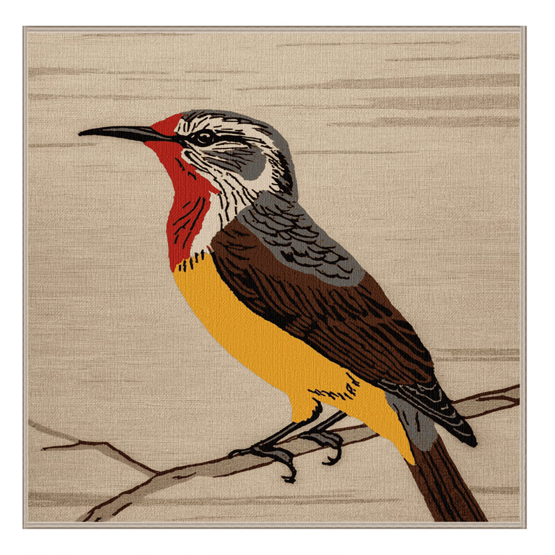  Tapis rouge lavable laveur d'oiseaux, Carré 3 pi