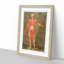 Anatomical Illustration of a Male No. 5 by Gautier-Dagoty - Picture Frame Painting Print-55682206-55682204