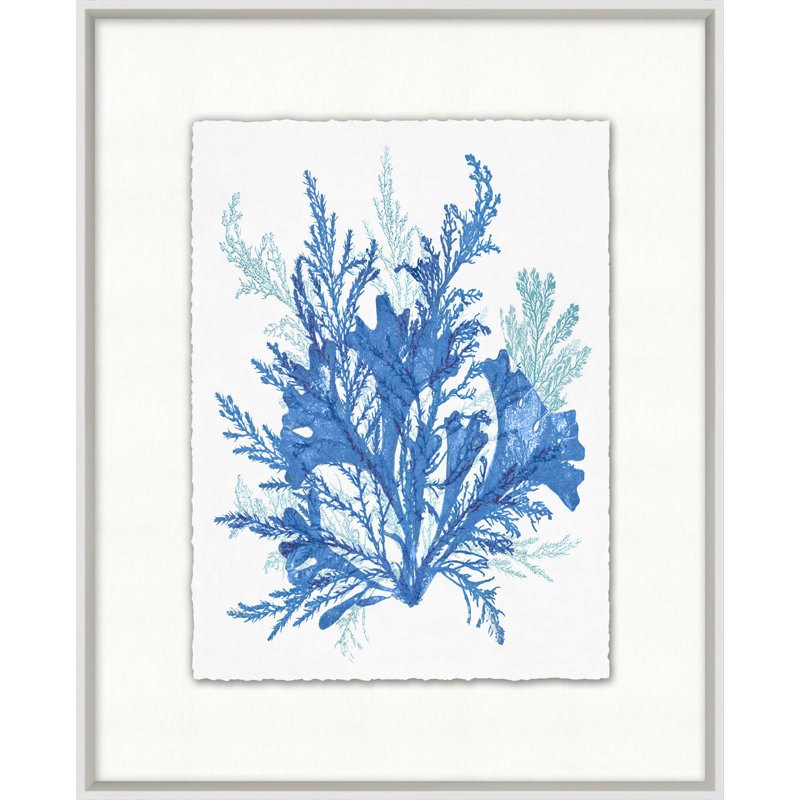 «Azure Ocean Herbarium», impression encadrée sur verre 8 pi