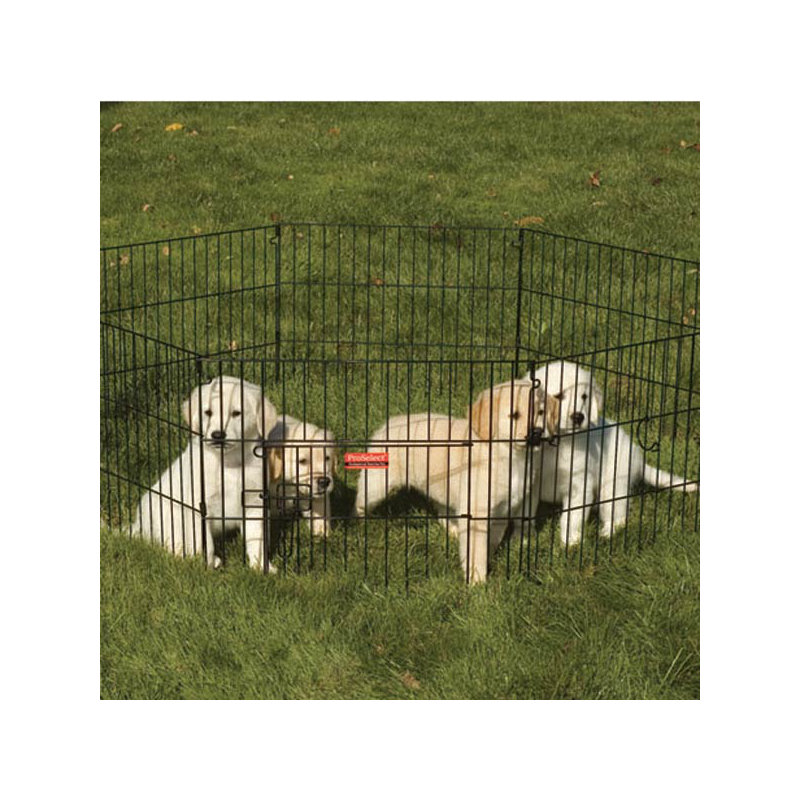 Enclos pour chien d’exercice éternel, Géant ( H 48 po x l 24 po)