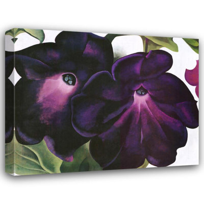 Black and Purple Petunias