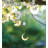 Celestial Ornament - Crescent
