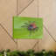 No Frame Print on Canvas