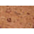 Baccio Wool Oriental Indoor Rug