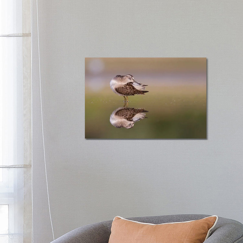 Preening 1 Piece Wrapped Canvas Wall Art, 66.04 cm H x 45.72 cm W x 1.91 cm D