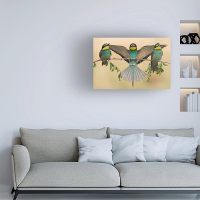 Eliran Sagie Bee Eaters Trio Canvas Art