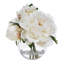 BLOOMS Cream Peonies in Glass Vase