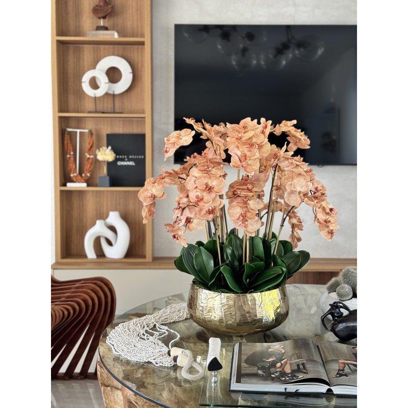 Roberi Light Brown Orchid Arrangement In Planter / Size:28" H X 18" W X 18" D