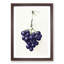 Bunch of Grapes by Jean Bernard - Picture Frame Art Print-55513035-55513033
