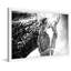 Single Picture Frame Painting-19492306