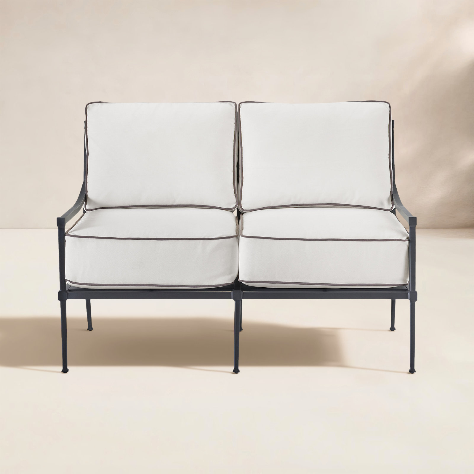 50'' Wide Straight Aluminum Loveseat with Cushions