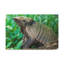 Wall Art on Canvas-1387051884