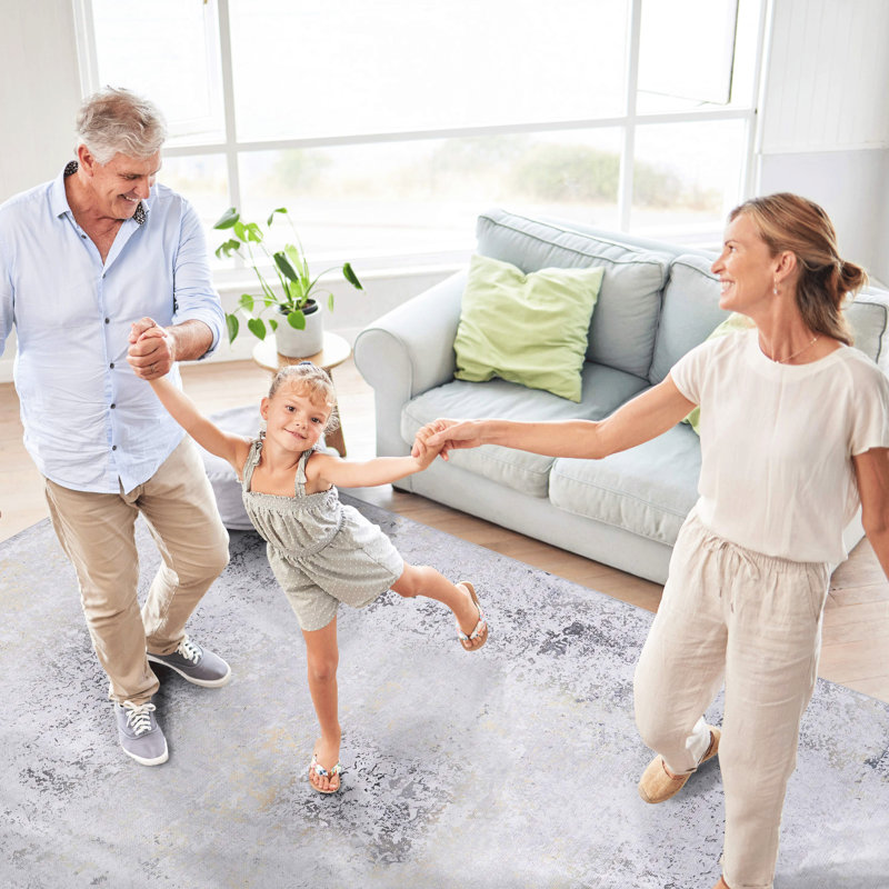 Washable 9X12 Area Rug For Kitchen - Low-Pile, Non-Slip, Enchanting  Gray & Dining Room Non-Shedding, Foldable, Pet Safe