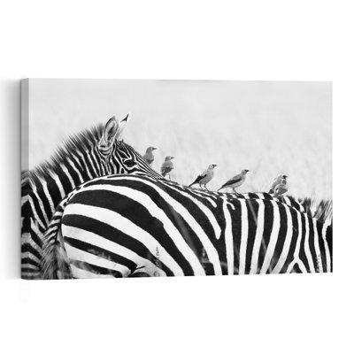 Zebra And Bird Companions Peaceful Contemporary Bird Zebra Nature Wildlife Wall Art Print 1 Piece Wrapped Canvas Wall Art