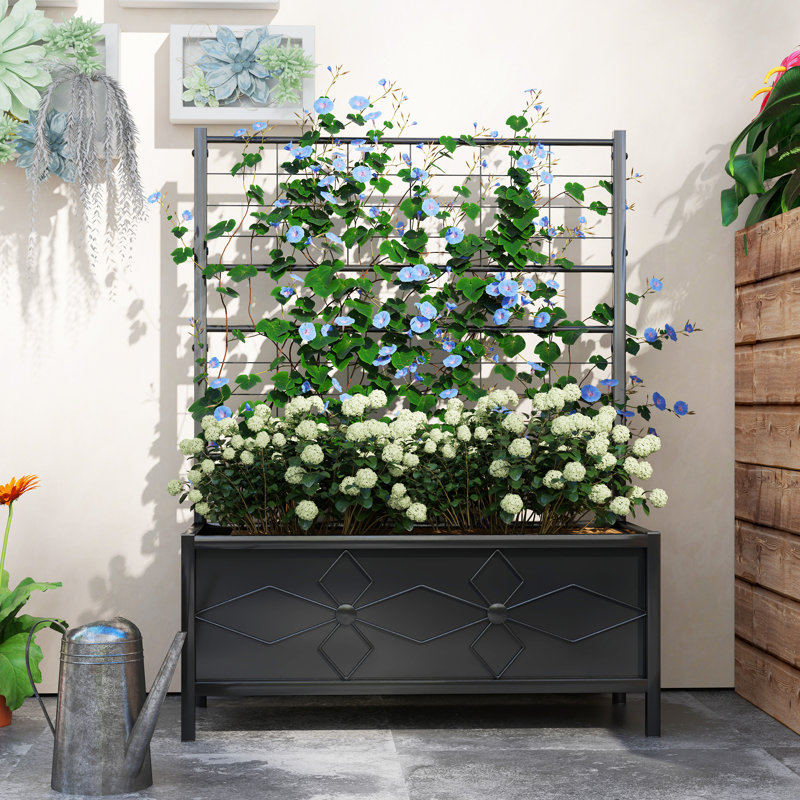 Raised Garden Bed with Trellis