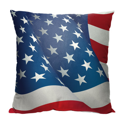 No Patern Indoor/Outdoor Pillow Cover