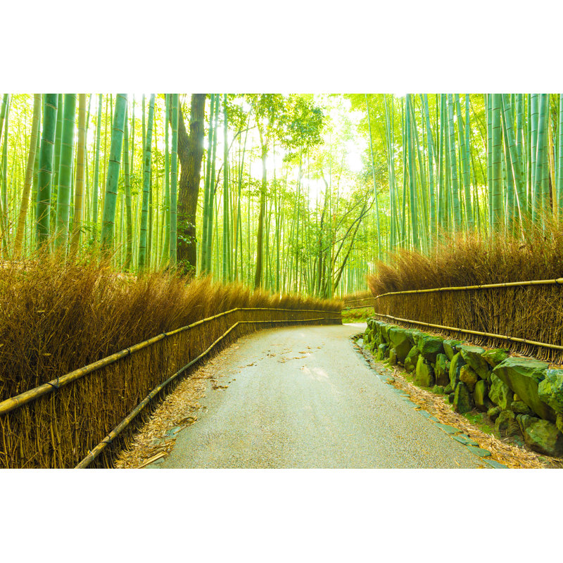 Arashiyama Bamboo - Wrapped Canvas Print, 81cm H x 122cm W
