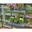 Palram - Canopia Greenhouse Shelf Kit
