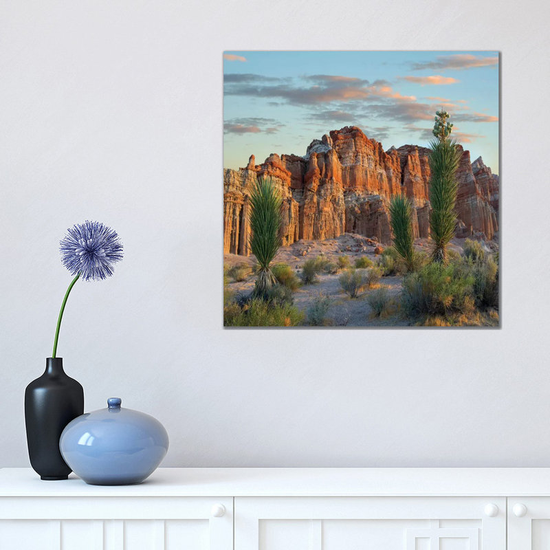 Joshua Tree Saplings and Cliffs, Red Rock Canyon National Conservation Area 1 Piece Wrapped Canvas Wall Art