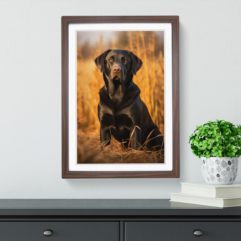 Labrador Retriever Symbolism - Single Picture Frame Print on Wood, Walnut Framed, 46cm H x 34cm W x 2cm D
