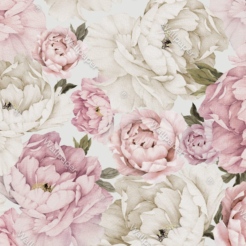 Papier peint floral pivoine rose et crème avec grande aquarelle