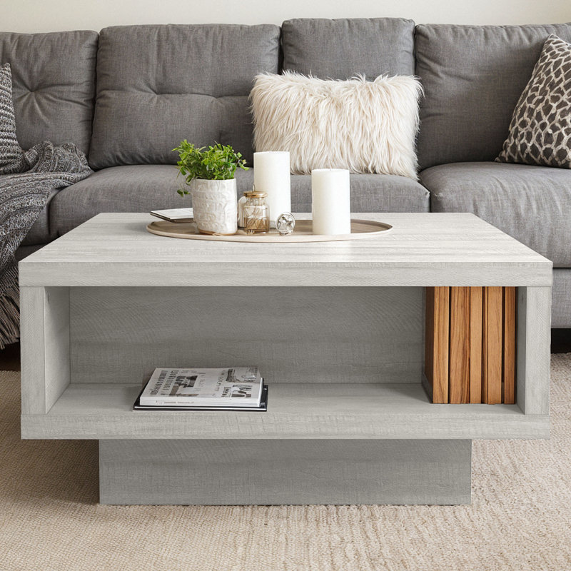 Caomhan Pedestal Coffee Table with Storage